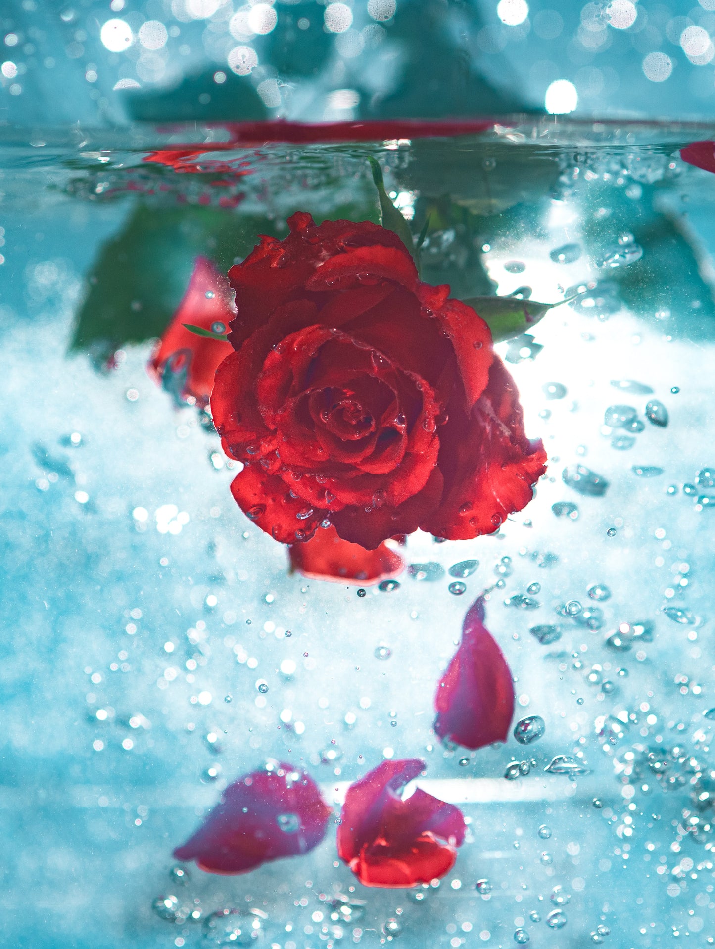 Savon naturel à la rose